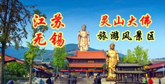 www:欧美操逼片com江苏无锡灵山大佛旅游风景区